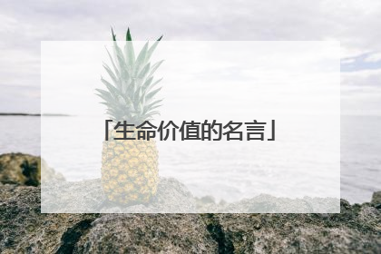 生命价值的名言