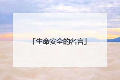 生命安全的名言