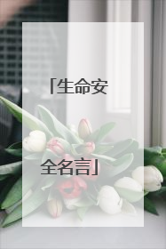 生命安全名言