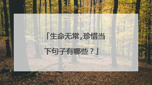 生命无常,珍惜当下句子有哪些?