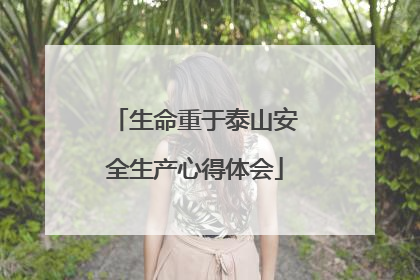 生命重于泰山安全生产心得体会