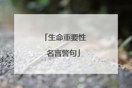 生命重要性 名言警句