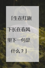 生在红旗下长在春风里下一句是什么？