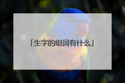 生字的组词有什么