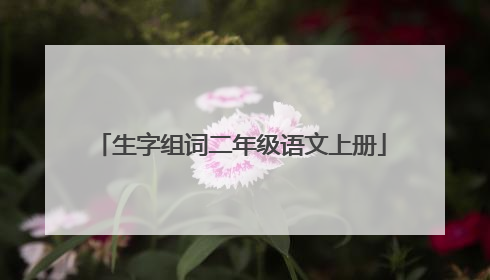 生字组词二年级语文上册