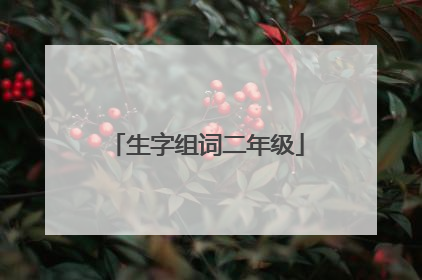 生字组词二年级