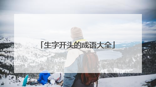生字开头的成语大全