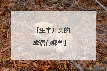 生字开头的成语有哪些