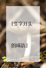 生字开头的成语