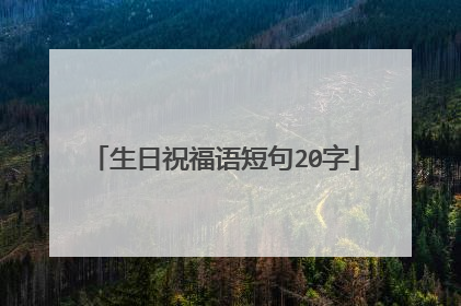 生日祝福语短句20字