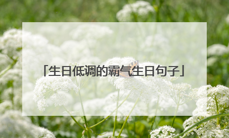 生日低调的霸气生日句子