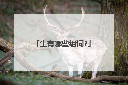 生有哪些组词?