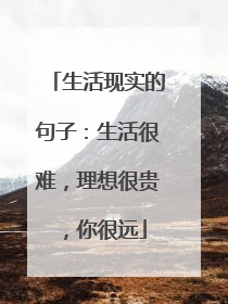 生活现实的句子：生活很难，理想很贵，你很远