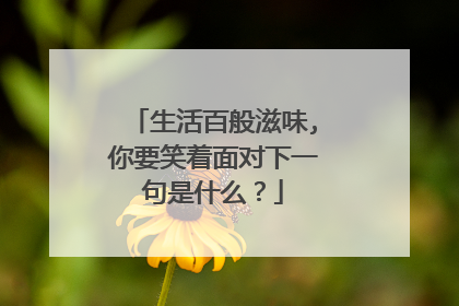 生活百般滋味,你要笑着面对下一句是什么?