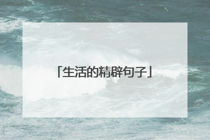 生活的精辟句子