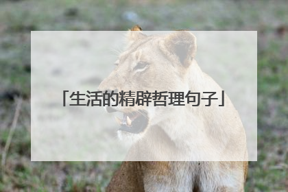 生活的精辟哲理句子