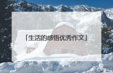 生活的感悟优秀作文