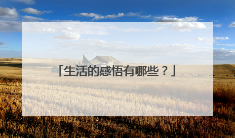 生活的感悟有哪些？