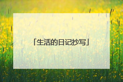 生活的日记抄写