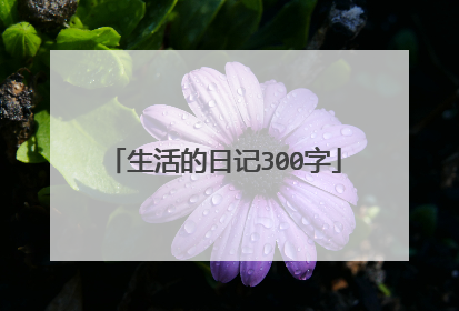 生活的日记300字