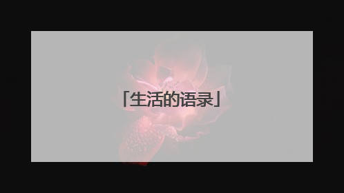 生活的语录