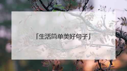 生活简单美好句子