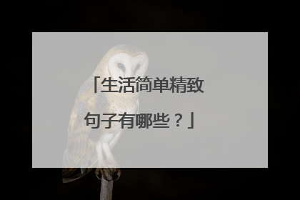 生活简单精致句子有哪些?