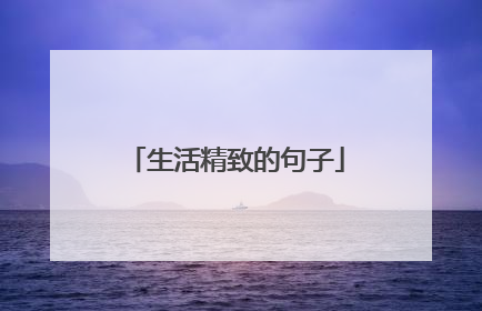 生活精致的句子