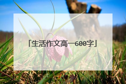 生活作文高一600字