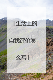 生活上的自我评价怎么写