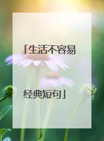 生活不容易经典短句