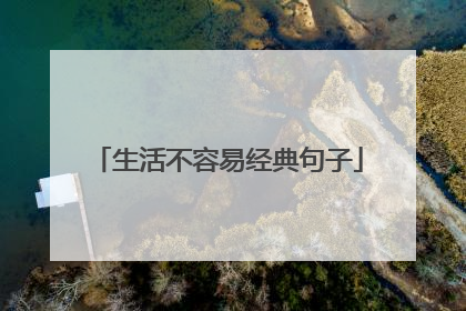 生活不容易经典句子