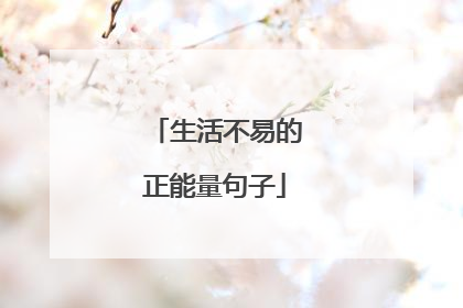 生活不易的正能量句子