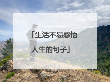 生活不易感悟人生的句子