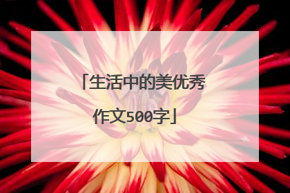 生活中的美优秀作文500字