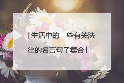 生活中的一些有关法律的名言句子集合