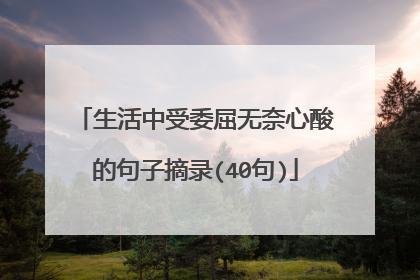 生活中受委屈无奈心酸的句子摘录(40句)