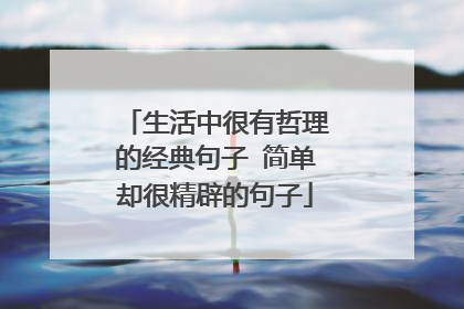 生活中很有哲理的经典句子 简单却很精辟的句子
