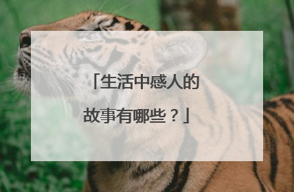 生活中感人的故事有哪些？