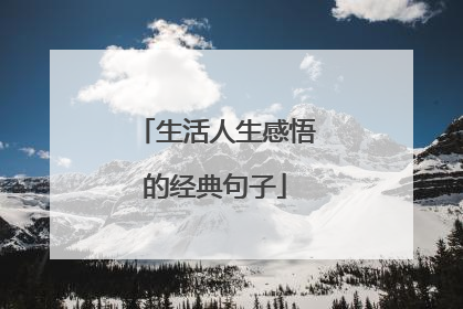 生活人生感悟的经典句子