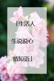 生活人生说说心情短语