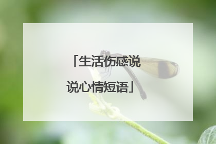 生活伤感说说心情短语