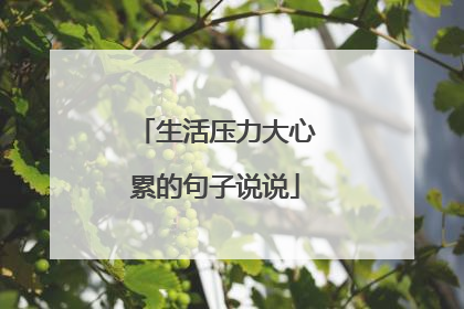 生活压力大心累的句子说说
