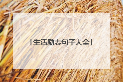 生活励志句子大全