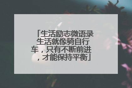 生活励志微语录 生活就像骑自行车，只有不断前进，才能保持平衡