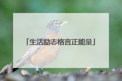 生活励志格言正能量