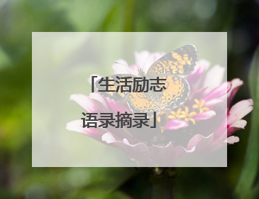 生活励志语录摘录