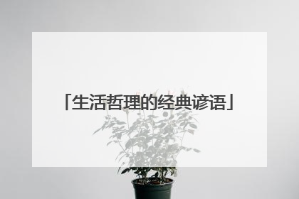 生活哲理的经典谚语