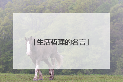 生活哲理的名言