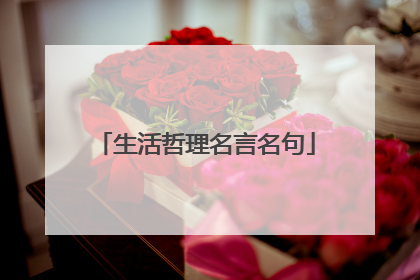 生活哲理名言名句